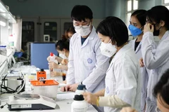 Activités de recherche des enseignants et des étudiants de l'Université nationale de Hanoi. Photo : NDEL