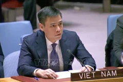 Le représentant permanent du Vietnam auprès des Nations Unies, l’ambassadeur Dang Hoàng Giang s’exprime devant le Conseil de sécurité de l’ONU, à New York. Photo: VNA