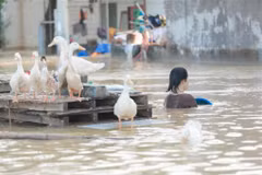 Inondations dans le quartier de Vân Hà, province de Bac Ninh, photos prises le 10 octobre. Photo : VNA