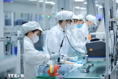 Ouvriers au travail chez Bumjin Electronics Vina Co. Ltd., une entreprise à capitaux 100% sud-coréens. Photo : VNA