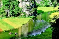 Tam Côc, province de Ninh Binh. Photo: moitruongdulich.vn
