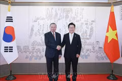 Le secrétaire général du Parti communiste du Vietnam, Tô Lâm et le président sud-coréen Lee Jae Myung se serrent la main. Photo : VNA