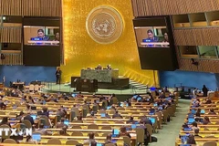 Le représentant de la délégation vietnamienne prend la parole lors de l’adoption de la Convention de Hanoi par l’Assemblée générale des Nations Unies, le 24 décembre 2024. Photo : VNA