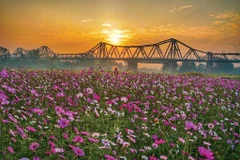 Le pont Long Biên au coucher du soleil. 