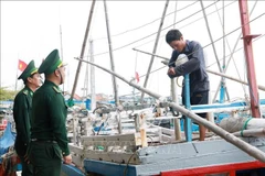 Des gardes-frontières de la province de Phu Yên vulgarisent des informations sur la lutte contre la pêche INN auprès d’un pêcheur du port de pêche de Dông Tac, dans la ville de Tuy Hoa. Photo : VNA