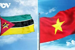 Drapeaux du Mozambique et du Vietnam. Photo: VOV