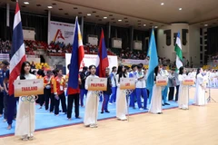 Dix pays s’affrontent lors du 9e Championnat d’Asie de pencak silat au Vietnam. Photo: VNA
