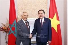Le président de l’Assemblée nationale du Vietnam, Trân Thanh Mân (à droite) serre la main du président de l’Association d’amitié Maroc-Vietnam, Mustapha El Ktiri. Photo : VNA