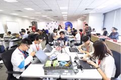 Au camp APIE 2026, les participants acquièrent des connaissances fondamentales sur le déploiement d'infrastructures réseau, la connectivité des équipements réseau et la mise en œuvre de réseaux sans fil. Photo : mst.gov.vn