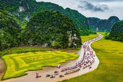 Procession en pirogue sur la rivirère de Ngô Dông lors de la fête de Tam Côc, dans le complexe paysager de Trang An. Photo: VNA