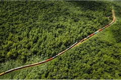 Photo: Đ.X/thanhnien.vn