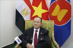 L’ambassadeur du Vietnam en Égypte, Nguyên Huy Dung au micro de l'Agence vietnamienne d'information. Photo: VNA