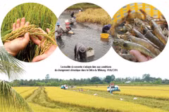 La transition écologique est en marche dans le delta du Mékong