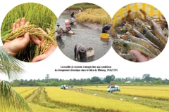 La transition écologique est en marche dans le delta du Mékong