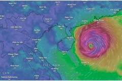 Deux scénarios ont été décrits concernant l'impact de Matmo sur le Vietnam, avec Quang Ninh, Hai Phong et Ninh Binh susceptibles d'être les plus durement touchés. Photo : Windy