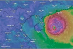 Deux scénarios ont été décrits concernant l'impact de Matmo sur le Vietnam, avec Quang Ninh, Hai Phong et Ninh Binh susceptibles d'être les plus durement touchés. Photo : Windy