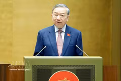 Le secrétaire général du Parti et président de la République, Tô Lâm. Photo: VNA