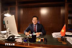 L’ambassadeur Mai Phan Dung, représentant permanent du Vietnam auprès des Nations Unies, de l’OMC et d’autres organisations internationales à Genève. Photo : VNA