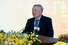 Le vice-Premier ministre Nguyên Hoa Binh s’exprime lors du séminaire, à Dà Nang, le 16 janvier. Photo : VNA