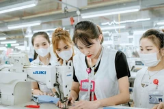 Les entreprises européennes considèrent de plus en plus le Vietnam comme une « destination attractive » pour les projets d’IDE. Photo : thoibaotaichinhvietnam.vn