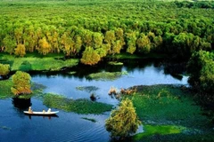 Vue aérienne de la forêt d’U Minh Ha. Photo : DDDL