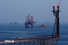 Les plateformes de forage du champ pétrolier Bach Hô. Photo: VNA