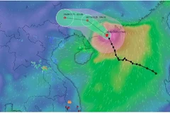Le typhon Tapah apportera de fortes pluies dans le Nord du Vietnam après avoir frappé la province chinoise du Guangdong le 8 septembre. Photo : vndms