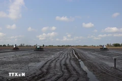 Le secteur agricole exhorte les agriculteurs à ne planter des cultures que lorsqu'un approvisionnement suffisant en eau est garanti. Photo: VNA