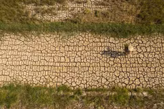Une rizière ravagée par la sécheresse dans le delta du Mékong. Un épisode El Niño très intense est susceptible d’accroître les risques de sécheresse, de pénurie d’eau et d’intrusion d’eau salée. Photo: VNP