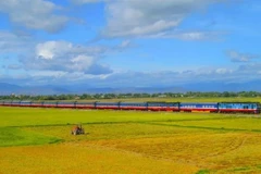 Le secteur ferroviaire va bénéficier d'un développement important de ses infrastructures et d'une transformation de son modèle économique. Photo: vietnamplus.vn