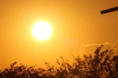 Photo d'illustration: baochinhphu.vn