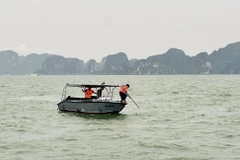 Le corps sans vie d’un garçon de six ans a été retrouvé près de l’île de Ti Top, dans la baie de Ha Long. Photo : tienphong.vn