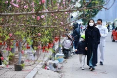 Dans le Nord, il faudra s’habiller chaudement pour fêter l’arrivée du Nouvel An lunaire. Photo : VTC