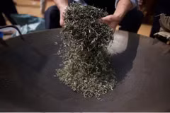 Le thé Shan Tuyêt, un véritable enchantement pour les papilles. Photo: NDEL