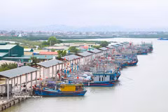Bateaux de pêche dans le port de pêche de Lach Quèn. Actuellement, la quasi-totalité des bateaux de pêche hauturière de la commune de Quynh Phu, province de Nghê An, sont équipés de systèmes d'éclairage LED.