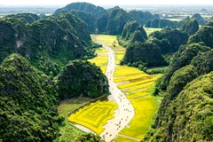 Tam Côc à la saison des rizières dorées. Photo: oac.ifoamasia.org