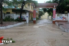 L'eau inonde l'école primaire Thu Thuy dans le quartier de Cua Lo, province de Nghê An. Photo : VNA