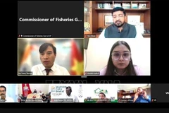 Le conseiller commercial Bui Trung Thuong s'exprime lors du webinaire, le 28 mai 2025. Photo: VNA