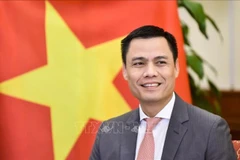 Le vice-ministre des Affaires étrangères, Dang Hoàng Giang. Photo : VNA