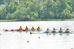 Les équipes se sont affrontées du 17 au 19 octobre au Centre d'entraînement d'aviron de Hai Phong. Photo: VNA