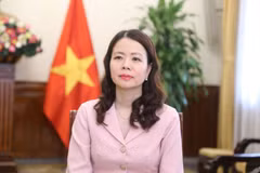 La vice-ministre des Affaires étrangères Nguyên Minh Hang. Photo : VNA