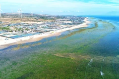 Le district de Thuân Nam, province de Ninh Thuân, a été choisi comme site pour la construction de la centrale nucléaire de Ninh Thuân 1. Photo: VNA