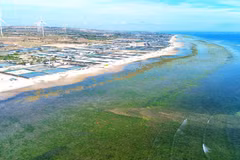 Le district de Thuân Nam, province de Ninh Thuân, a été choisi comme site pour la construction de la centrale nucléaire de Ninh Thuân 1. Photo: VNA
