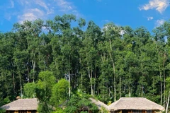Des maisons sur pilotis dans le village de Thai Hai. Photo: thaihai.vn