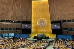 L’ambassadeur Dô Hung Viêt, représentant permanent du Vietnam auprès des Nations Unies, s’exprime lors de la Conférence internationale de haut niveau pour le règlement pacifique de la question de Palestine et la mise en œuvre de la solution à deux États. Photo : VNA