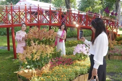Le Festival des orchidées de Hô Chi Minh-Ville 2025 se déroule au parc Tao Đàn du 1er arrondissement. Photo: VNA