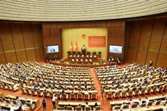 Vue de la conférence nationale du 18 mai. Photo : VNA