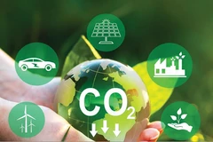 La solution automatisée VertZéro permet aux entreprises de mesurer leurs émissions de gaz à effet de serre et d’élaborer des plans de réduction en vue d’atteindre la neutralité carbone. Photo : NetZero.vn