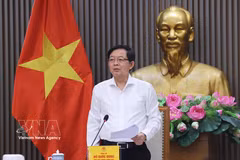 Le vice-Premier ministre Hô Quôc Dung préside la réunion, à Hanoi, le 22 juin. Photo : VNA