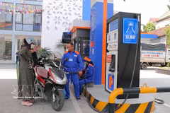 Dans une station-service de Petrolimex. La généralisation de l’E10 s’inscrit dans la stratégie nationale de transition énergétique visant à réduire les émissions de gaz à effet de serre. Photo : VNA